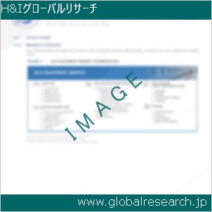 グローバルリサーチ調査レポートのイメージ